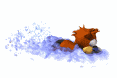 Gif castor